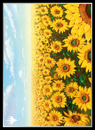 プレイヤーズカードスリーブ基本土地シリーズ『APACランド1』《平地