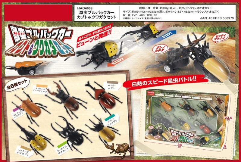 国産カブト・クワガタ 標本 34匹セット 国産カブト・クワガタ 標本 34