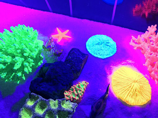 マメミニライト【マメデザイン】10W全10色（淡水、海水、水草