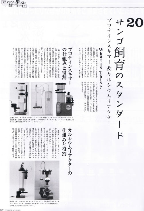 マメスキマー3【インテリアアクアリウムVOL1】超小型プロテイン