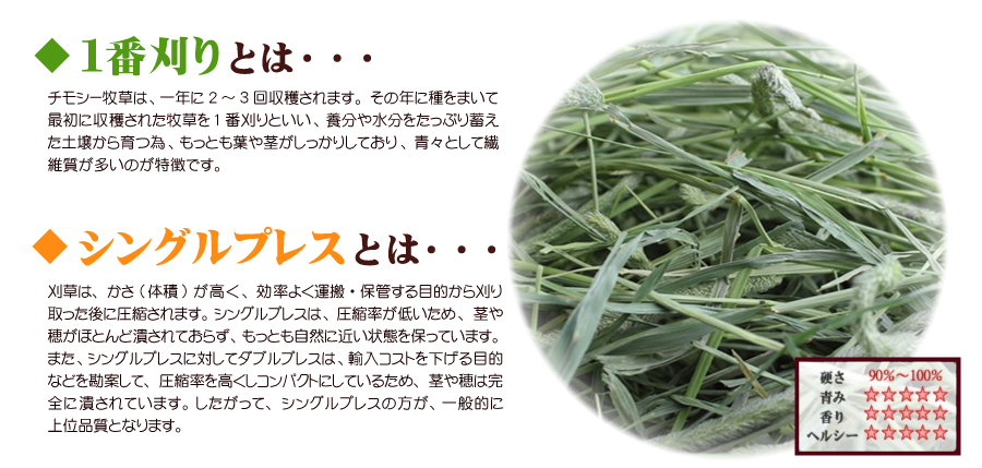 令和7年度産新刈り】牧草市場 スーパープレミアムチモシー1番刈り牧草