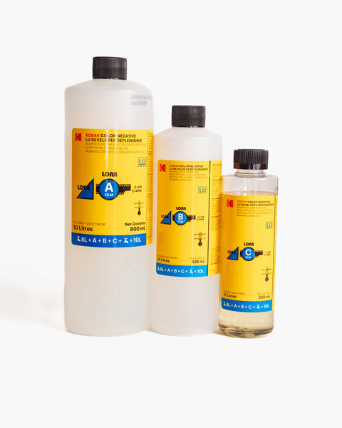 DSC03333_grande.jpg?v=1738277655