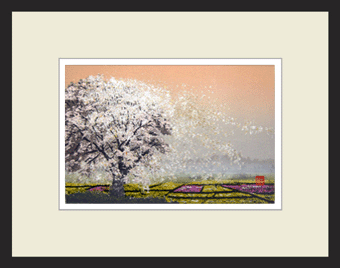 宮本秋風ジグレー石畳の夏