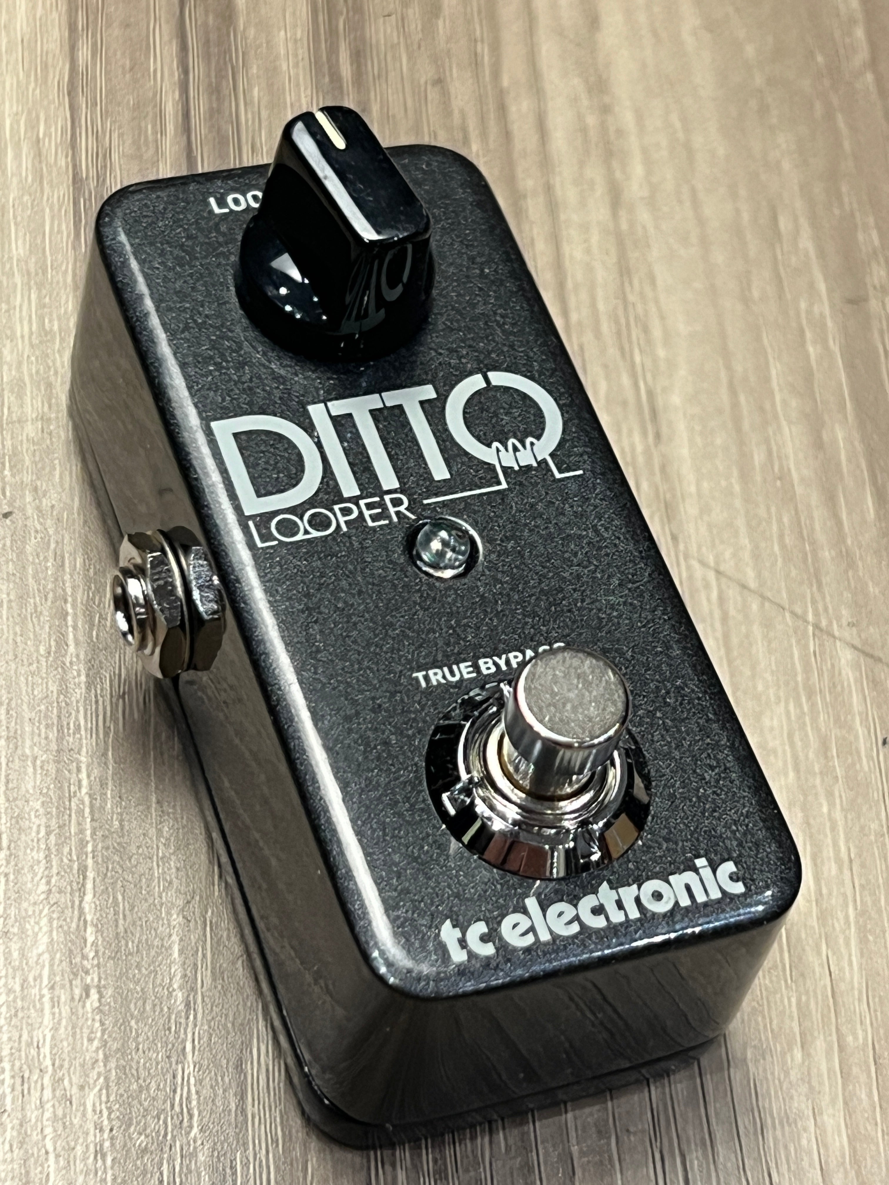 TC Electronic Ditto Looper Pedal – nafiriguitar.com
