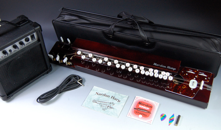 ナルダン製品一覧 ＞ ナルダンエレキ大正琴＋小型アンプセット