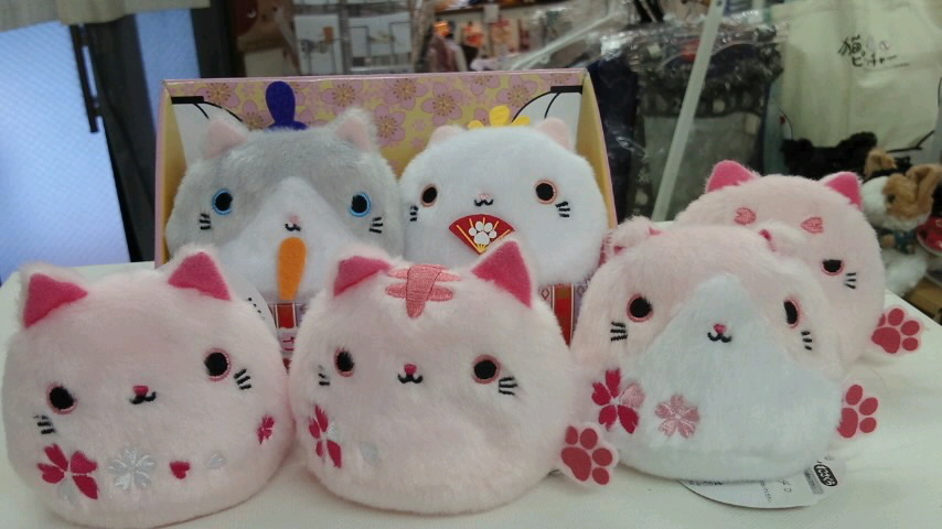 来週はひな祭り！雛ねこだんご販売中です！ | 東京ねこなかま