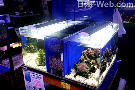 かんたん槽 シリーズ | オリジナル商品 | 海水魚のパイオニア 日海