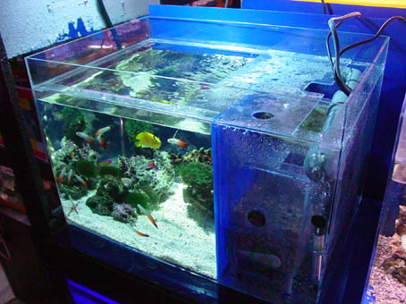 かんたん槽 シリーズ | オリジナル商品 | 海水魚のパイオニア 日海
