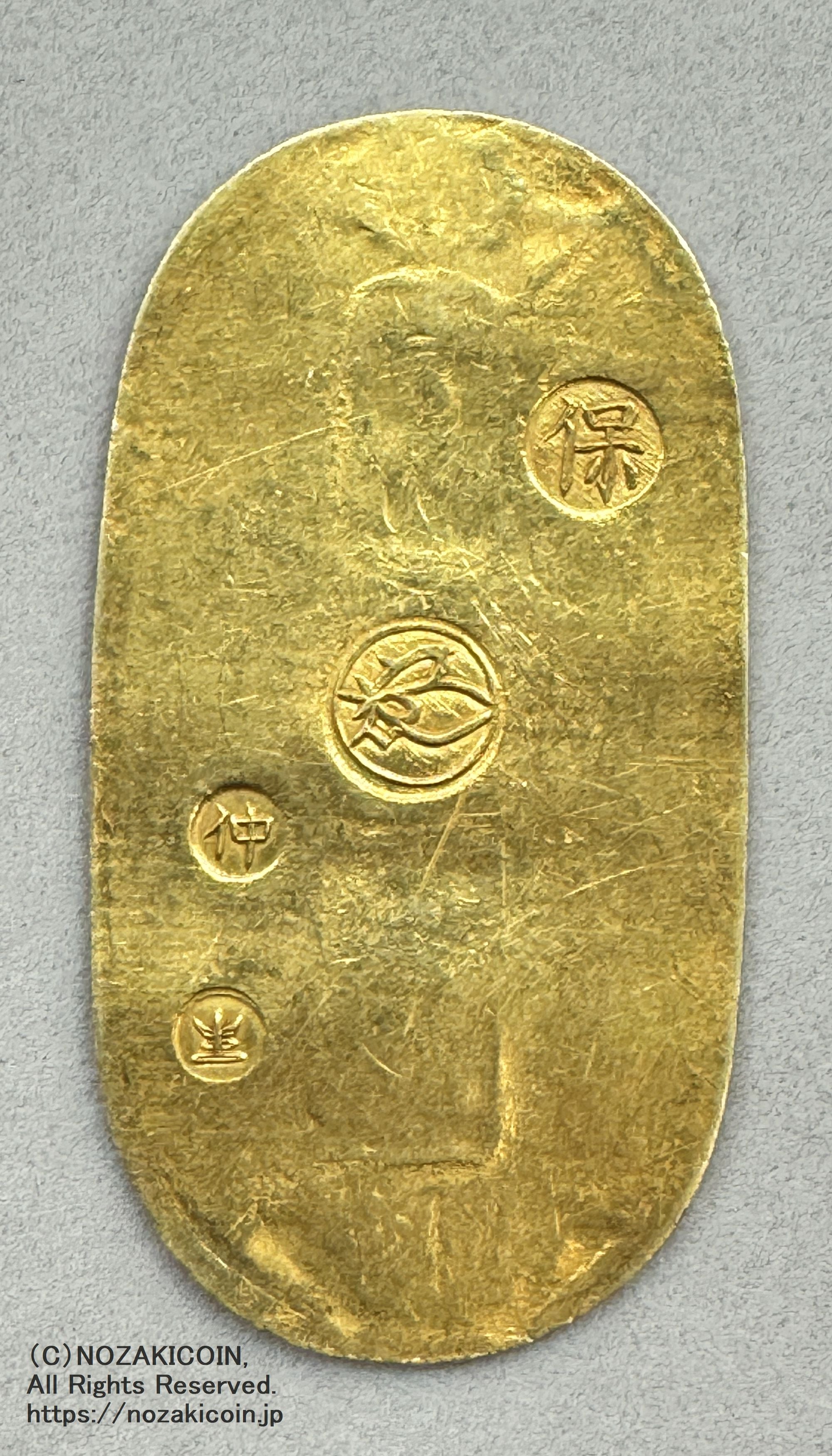 IMG_7554.jpg?v=1719300209