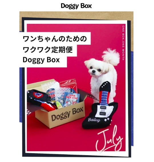 愛犬向けおもちゃとおやつの定期便Doggy Box（ドギーボックス）の評判