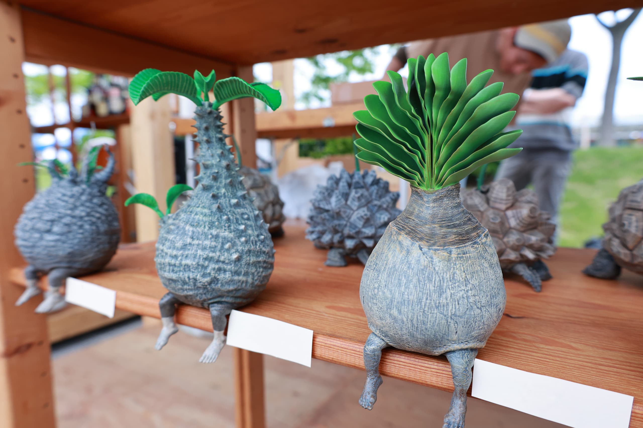 その他 OZWRT TheCaudexMan PachypusMan SS TOPPAGE│OZWRT