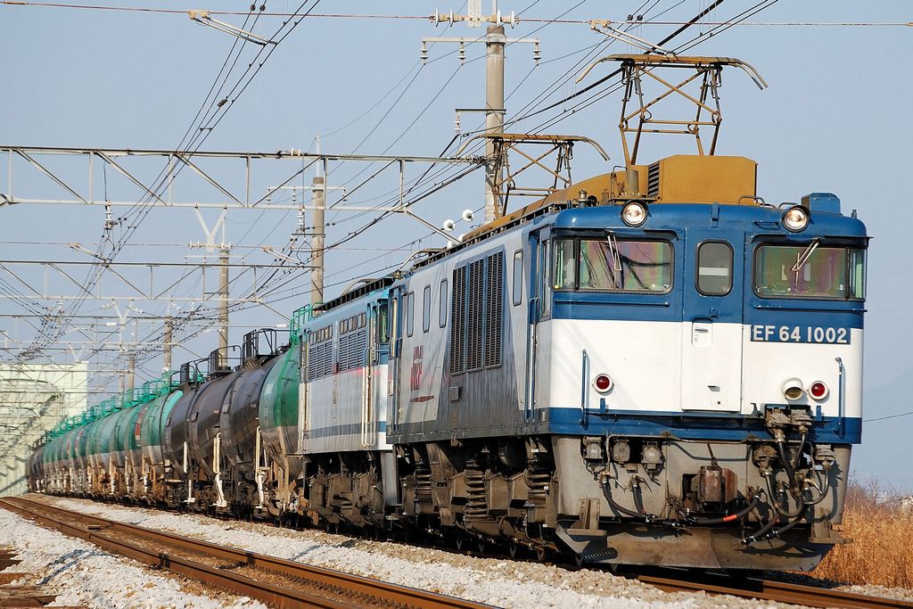 街 生き物 油彩 F50号 usafilm