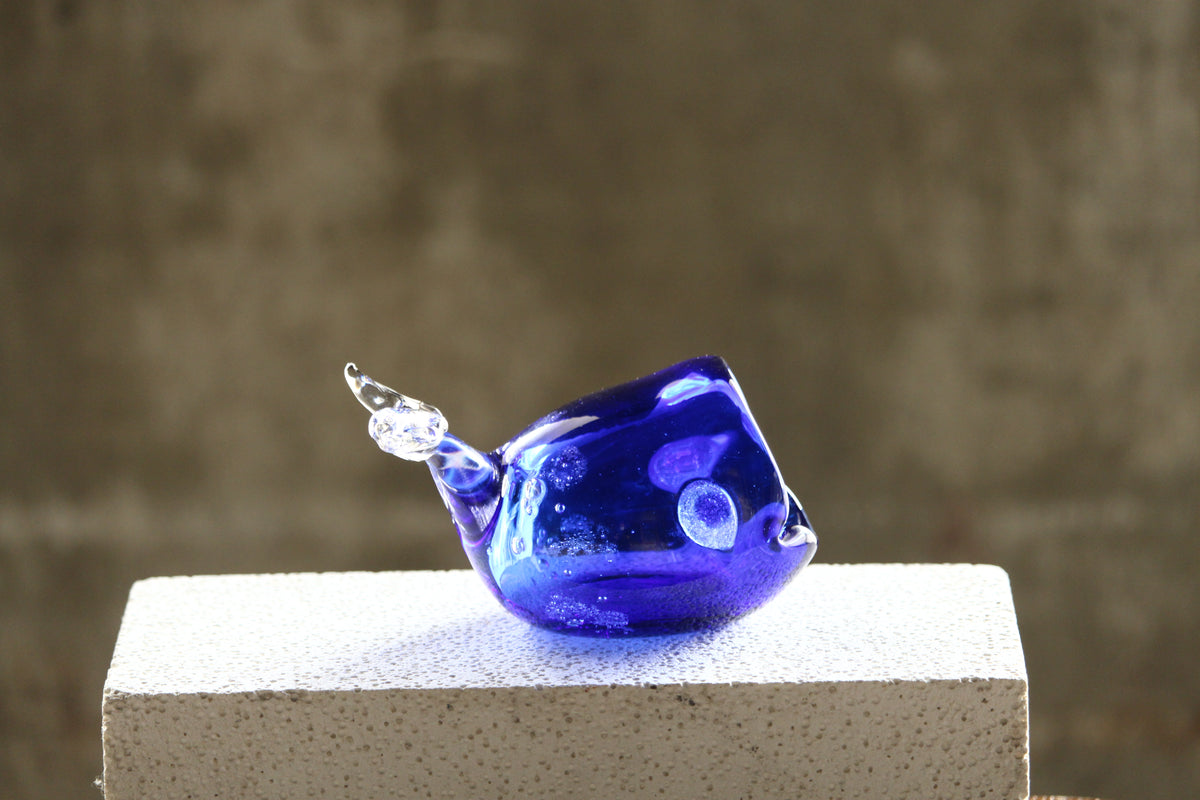 IMG_9182_1200x1200.jpg?v=