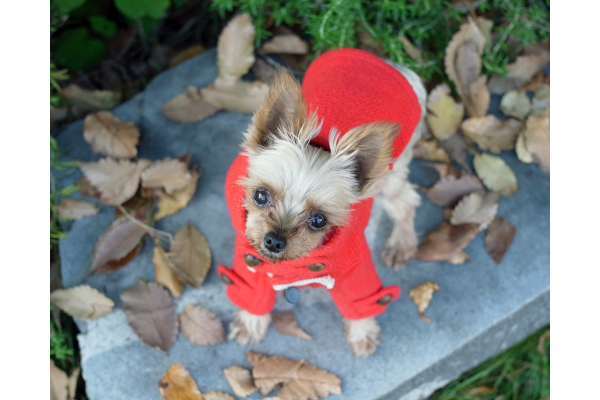 Atelier G・G「アトリエジジのホームページ」