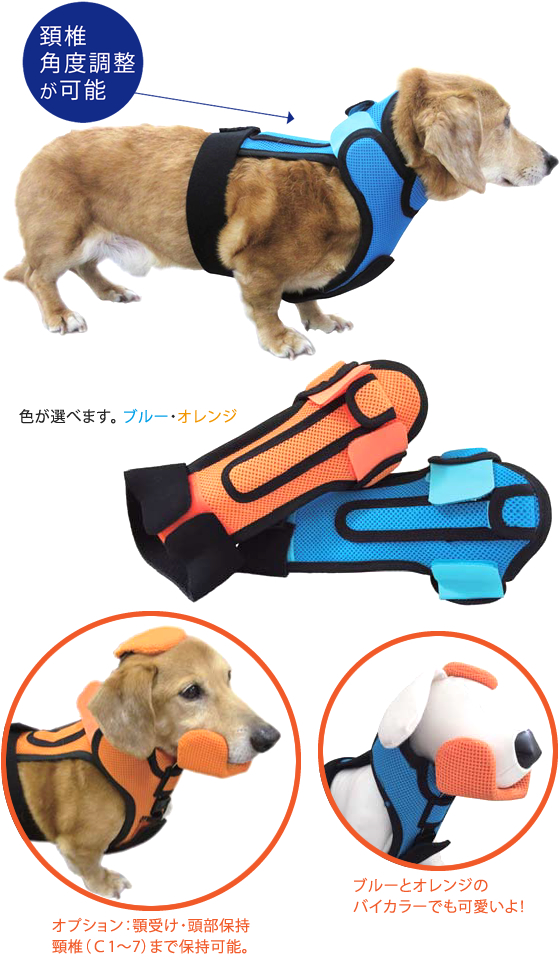 エスツーコルセット オーダーメイド 犬用コルセット ヘルニア ダックス