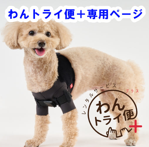 レンタルサービスわんトライ便+】 アニサポ ショルダースリーブ 犬用肩