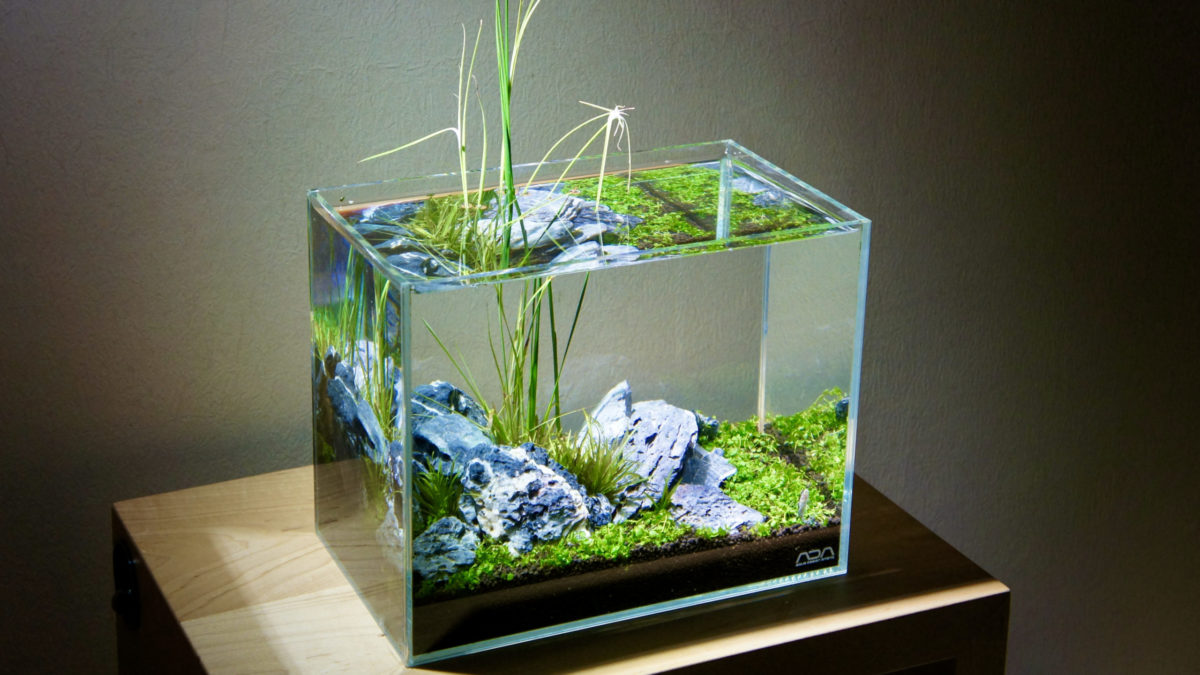 ADA キューブガーデン 90 良品