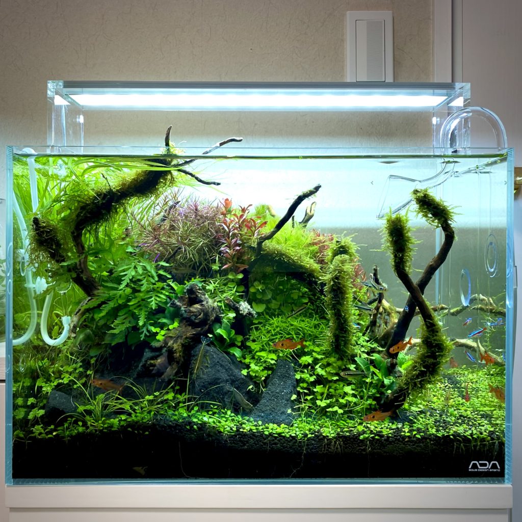 ADA アクアスカイ 602 照明 LED