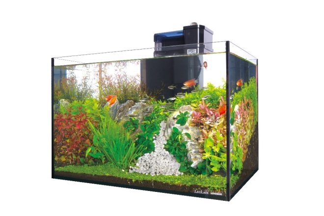 doumodes】バイオーブ 水槽換えフィルター付き doumodes様専用