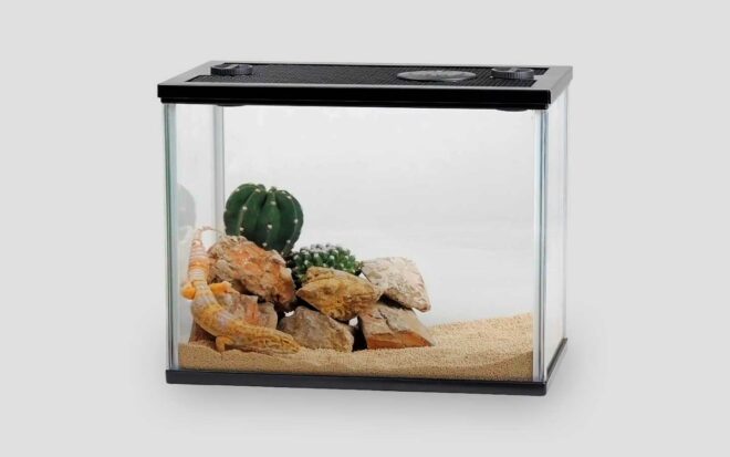 引き取り限定】ガラス水槽フルセット アクアリウム 最強シュリンプ水槽