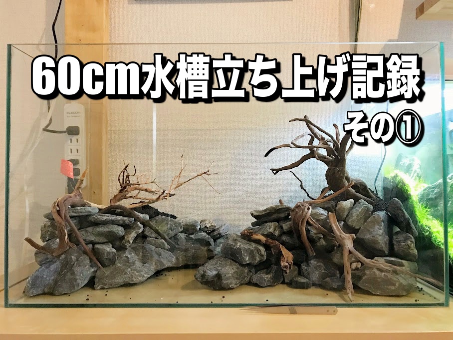 水草レイアウト60cm水槽の立ち上げ！石組み・流木組み・軽石を使った底床