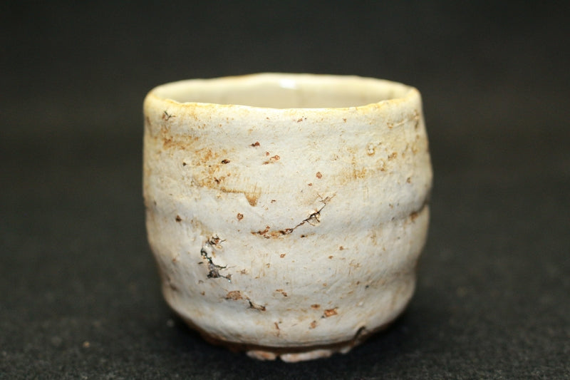 内田鋼一氏作 白釉酒器 内田鋼一氏作 白釉酒器 25140 内田鋼一 (錫白釉