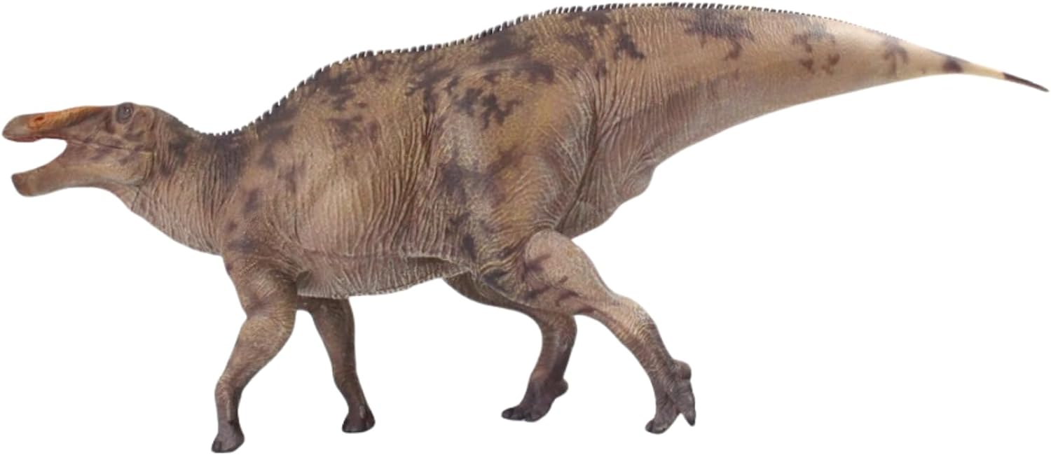 HAOLONGGOOD 1/35 サイズ シャントゥンゴサウルス 39cm級 PVC CE認証