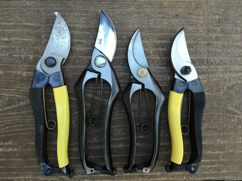 剪定鋏 茶鋏 ハサミ 14本 王麻子 松王 月姫 【公式通販】