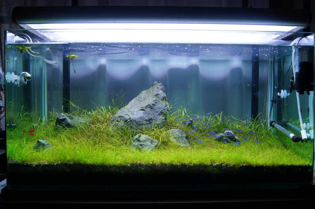 水槽ライト ADAグランドソーラー ADAグランドソーラー1 ADA グランド