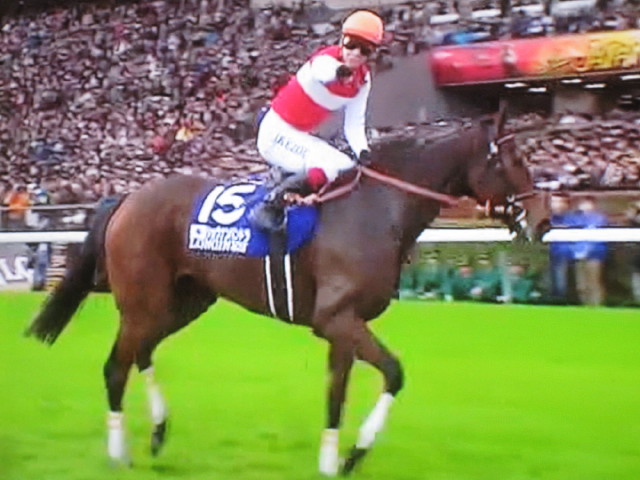 ハンデ戦並みのJC！まだまだ出て来る魅力のパンドラの箱