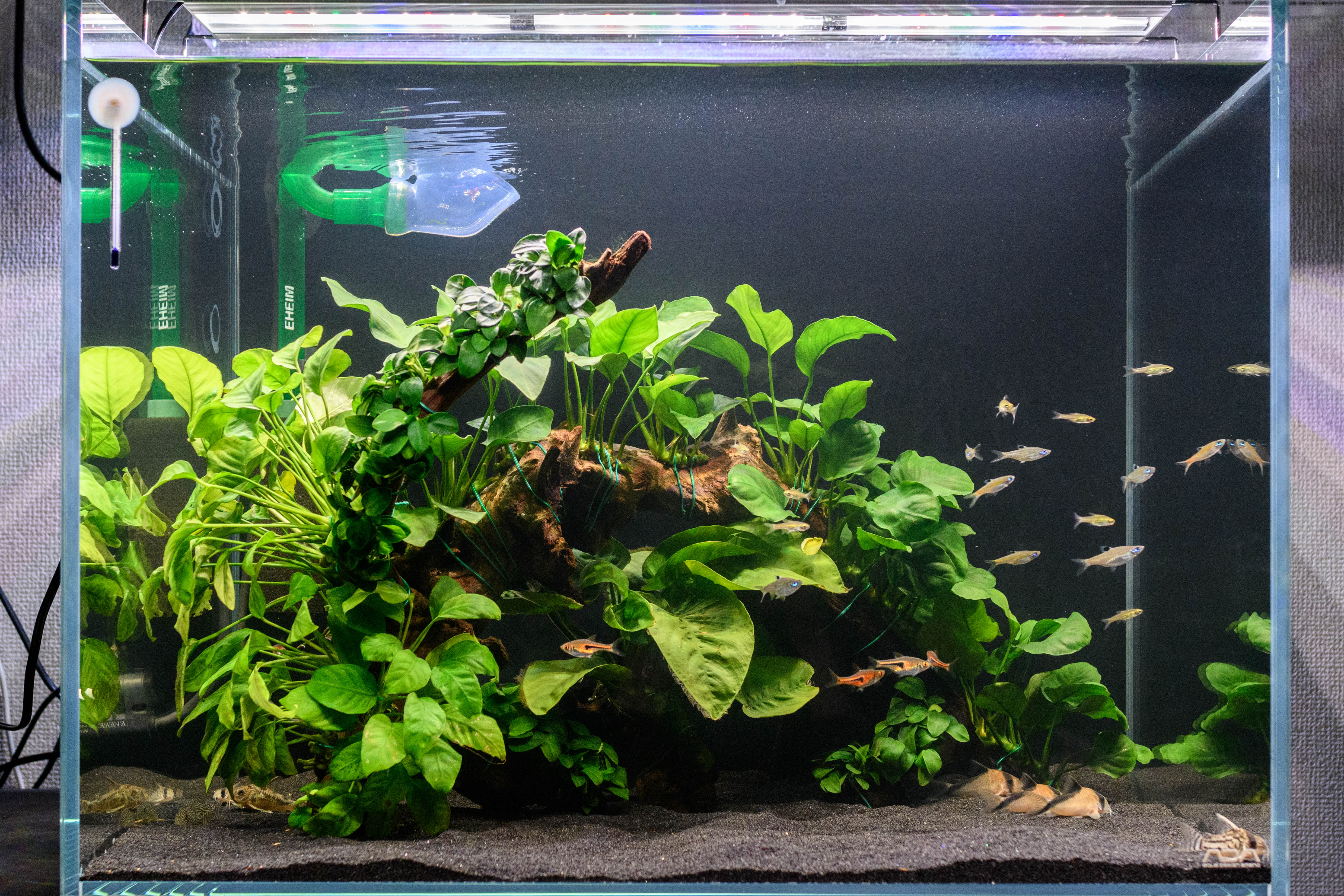 ADA 60*45*45ワイド水槽