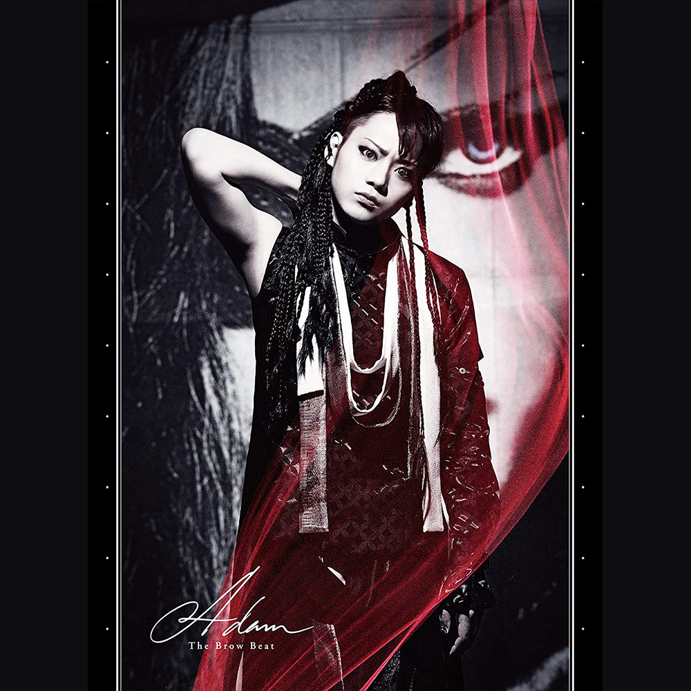 ミュージック The Brow Beat Live Tour 2023 DVD ミュージック The