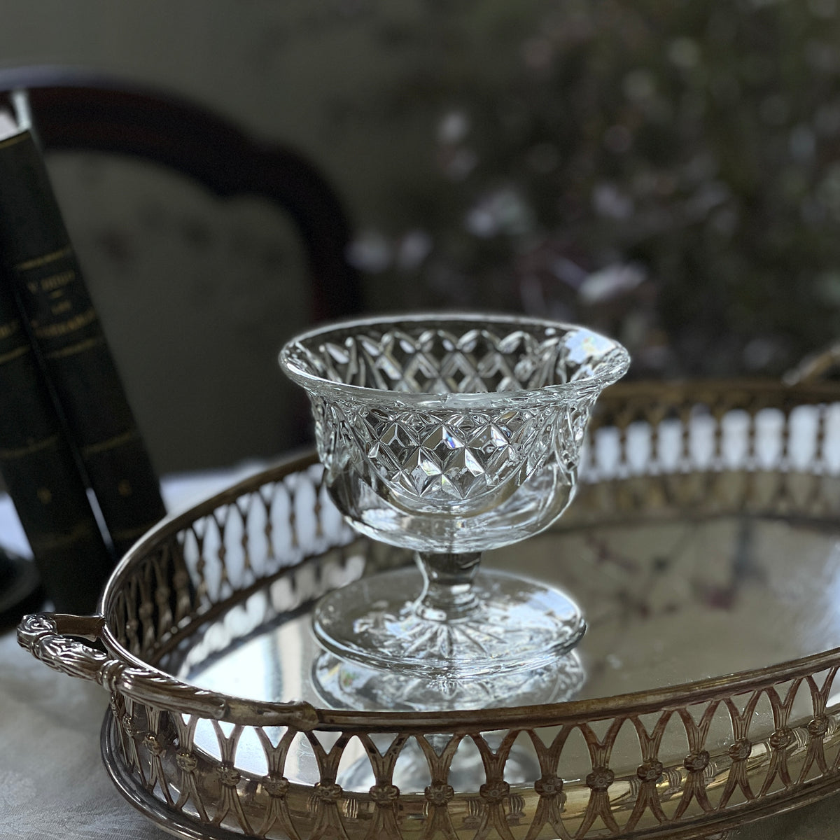 IMG_5904_1200x1200.jpg?v=