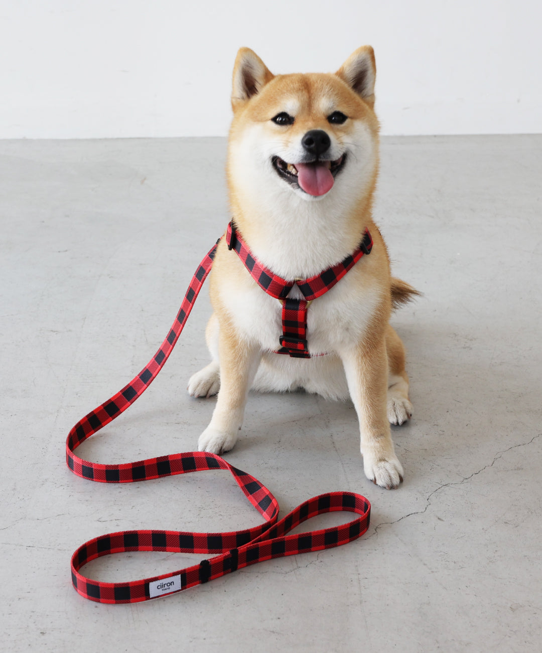 HS_LEASH.jpg?v=1743415932