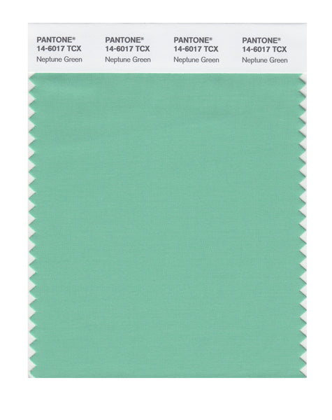 Pantone SMART Color Swatch Card 14-6017 TCX Neptune Green