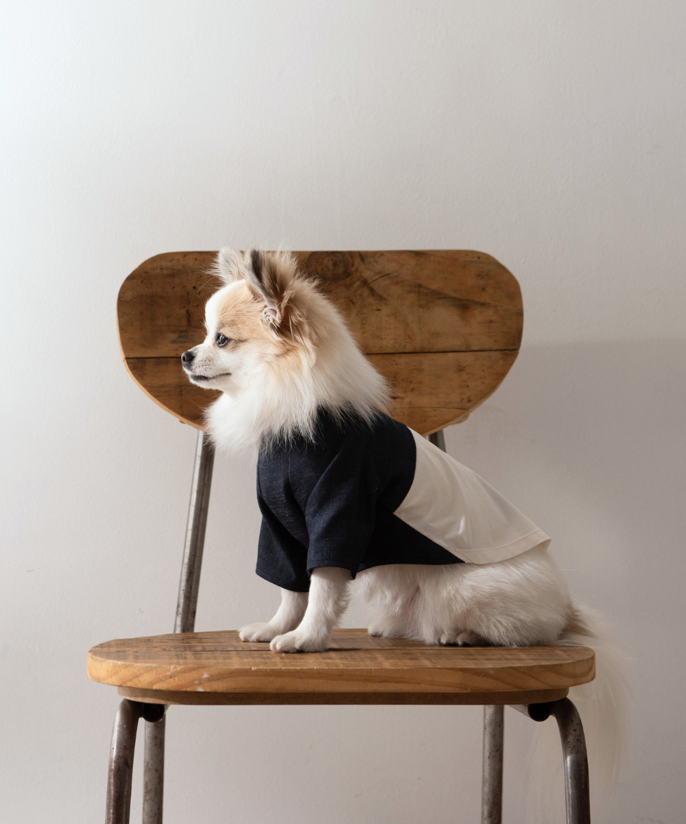 COTIRA｜バイカラーワンピース（2色） シンプルな犬服・上品ワンピース