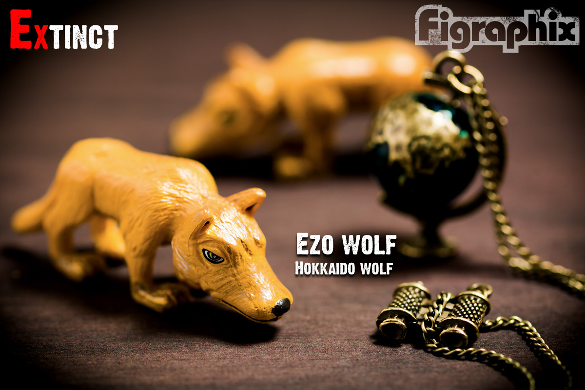 戦え絶滅動物 宮川アジュ 天然記念物 ニホンオオカミ トキ 始祖鳥