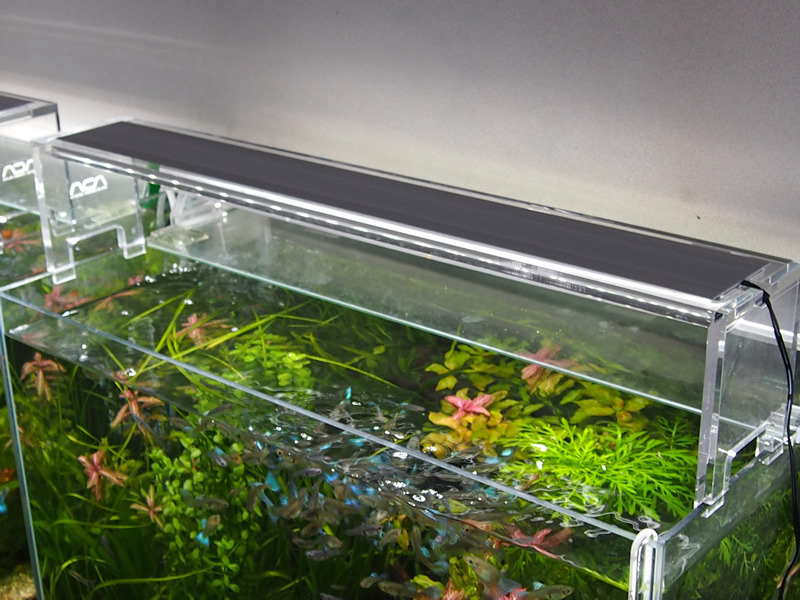 ADA アクアスカイ LEDライト 60cm水槽用 【公式通販】