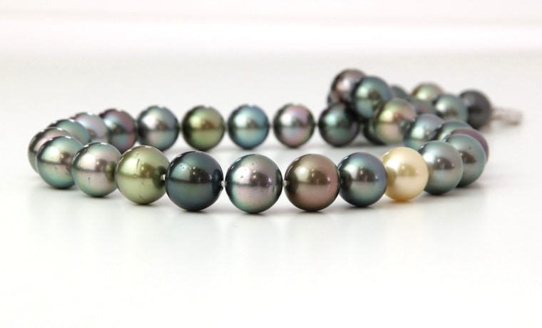 本真珠 南洋黒蝶真珠ネックレストップ 11.7*10.4ダークグリーンPT714