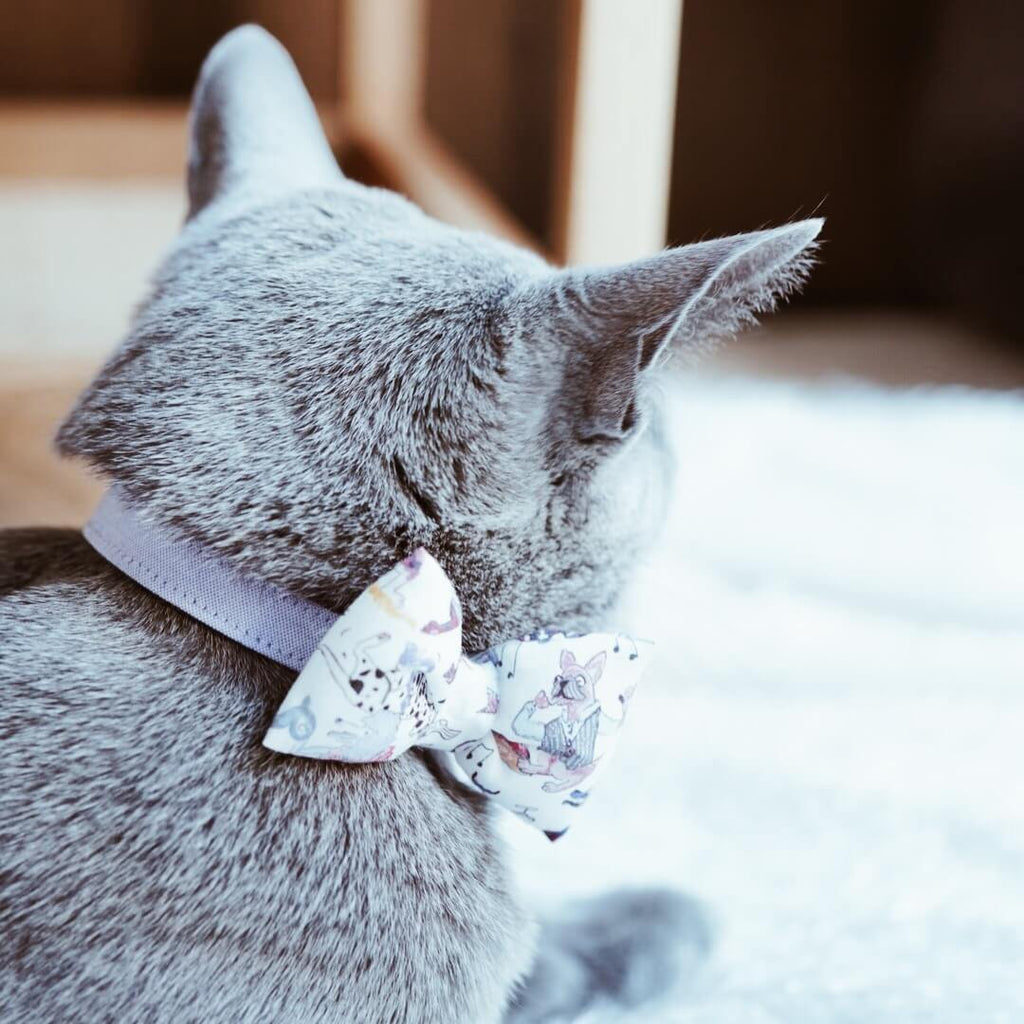 オーダーメイド猫首輪／刺繍名入れ・選べる布柄 リバティ ファミリア