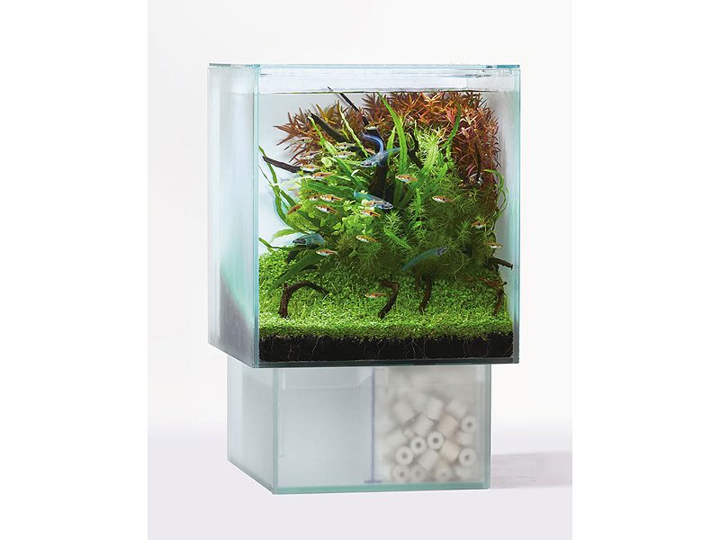 Glassteria AGS white / ジェックス株式会社 | GOOD AQUARIUM Design Award