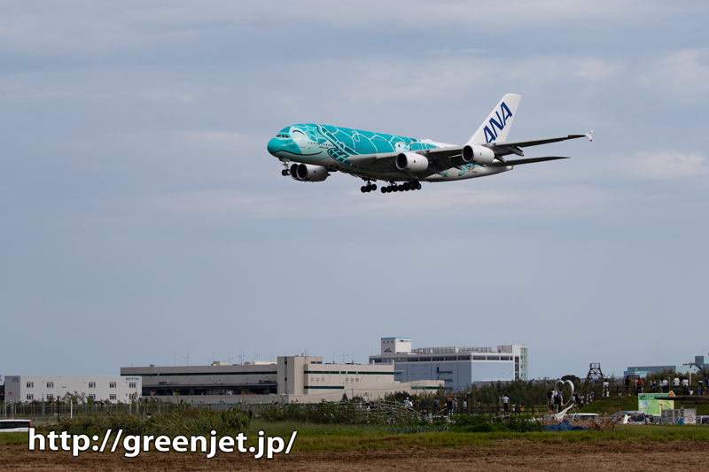 10.22 フライングホヌ ターコイズグリーン 1/150 楽天市場】A380 ANA