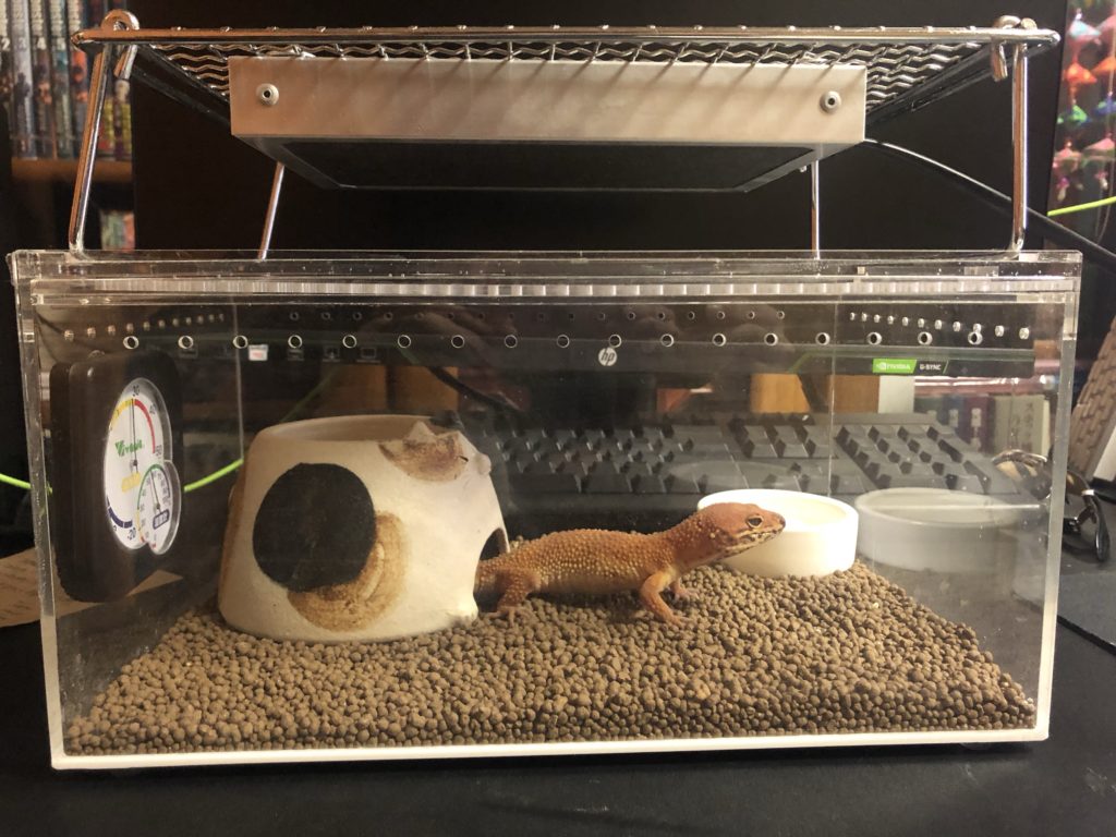 レプタイルボックスの暖突、ヒーティングトップの取り付け方法を考える
