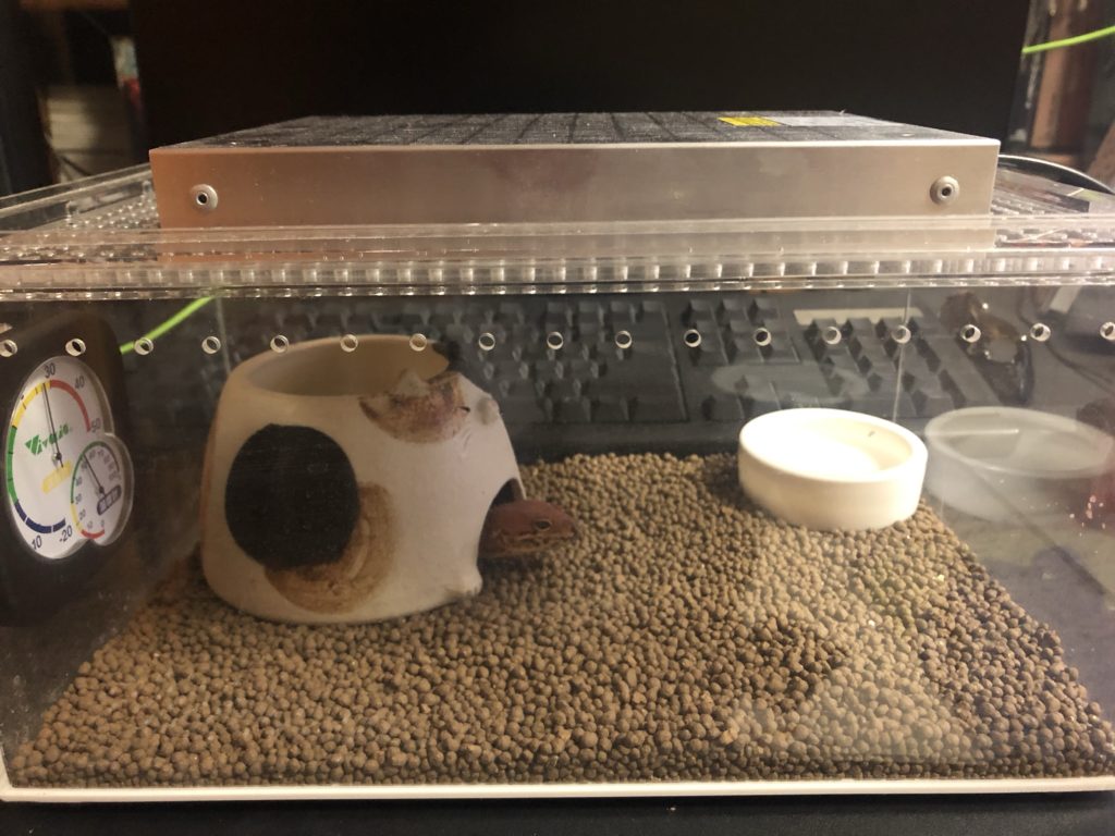 レプタイルボックスの暖突、ヒーティングトップの取り付け方法を考える