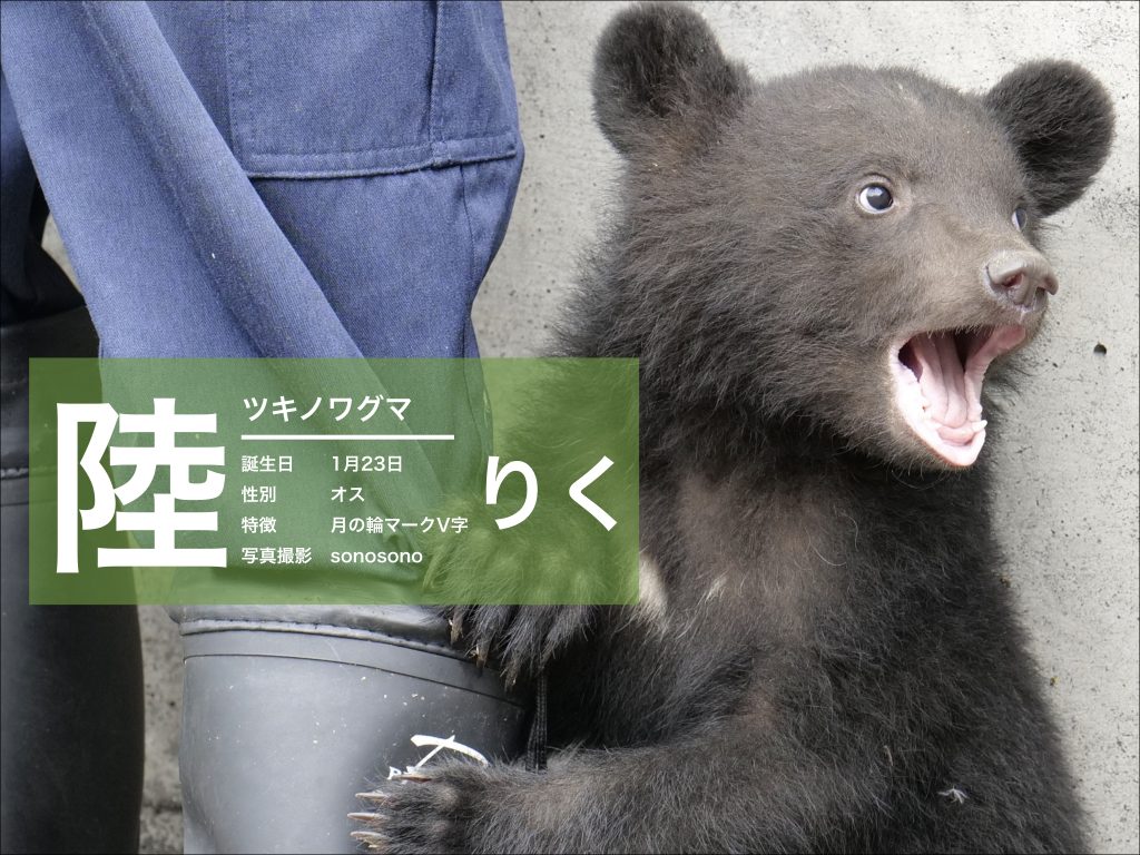 決定」 | くまくま園 公式ホームページ