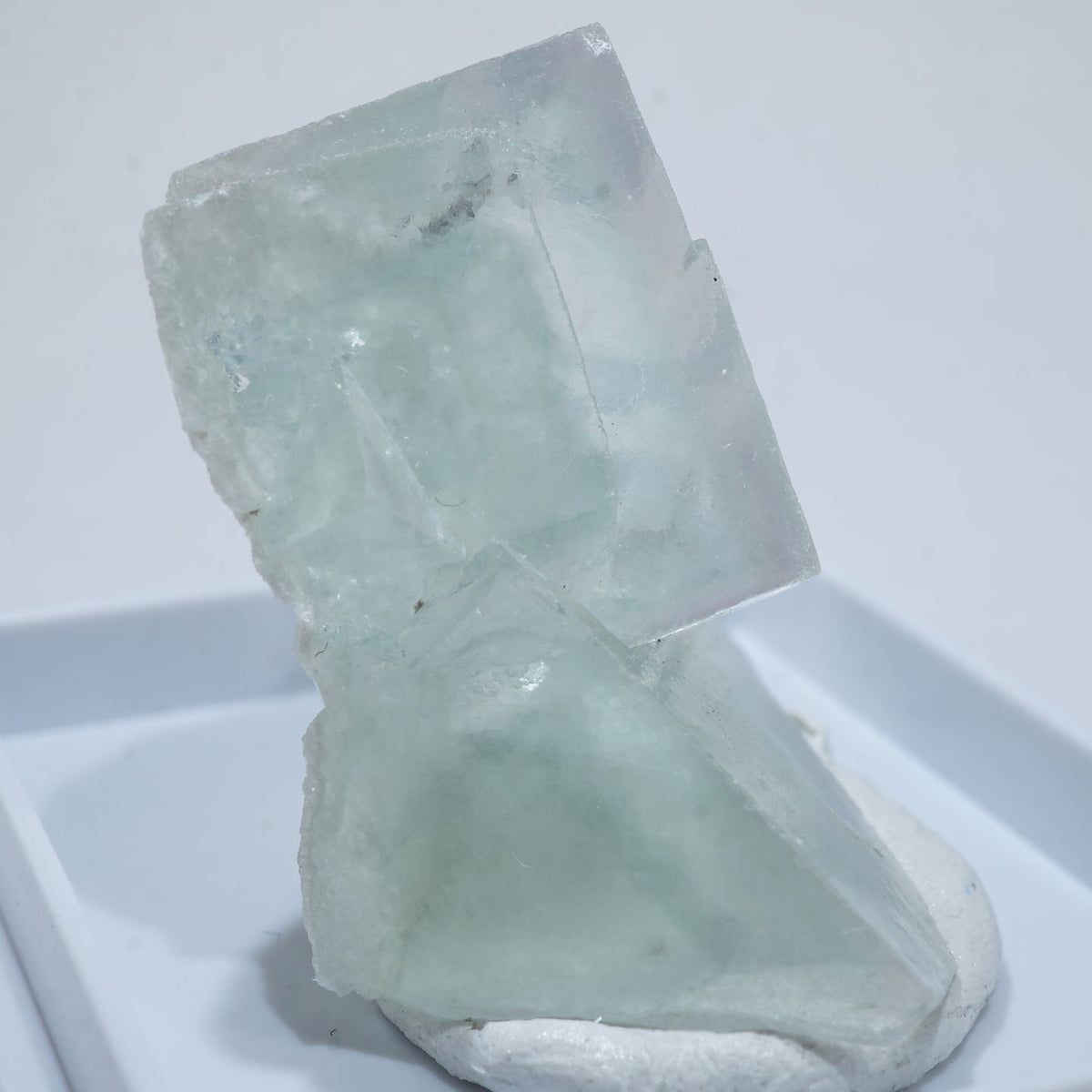 94561-c2_1200x1200.jpg?v=