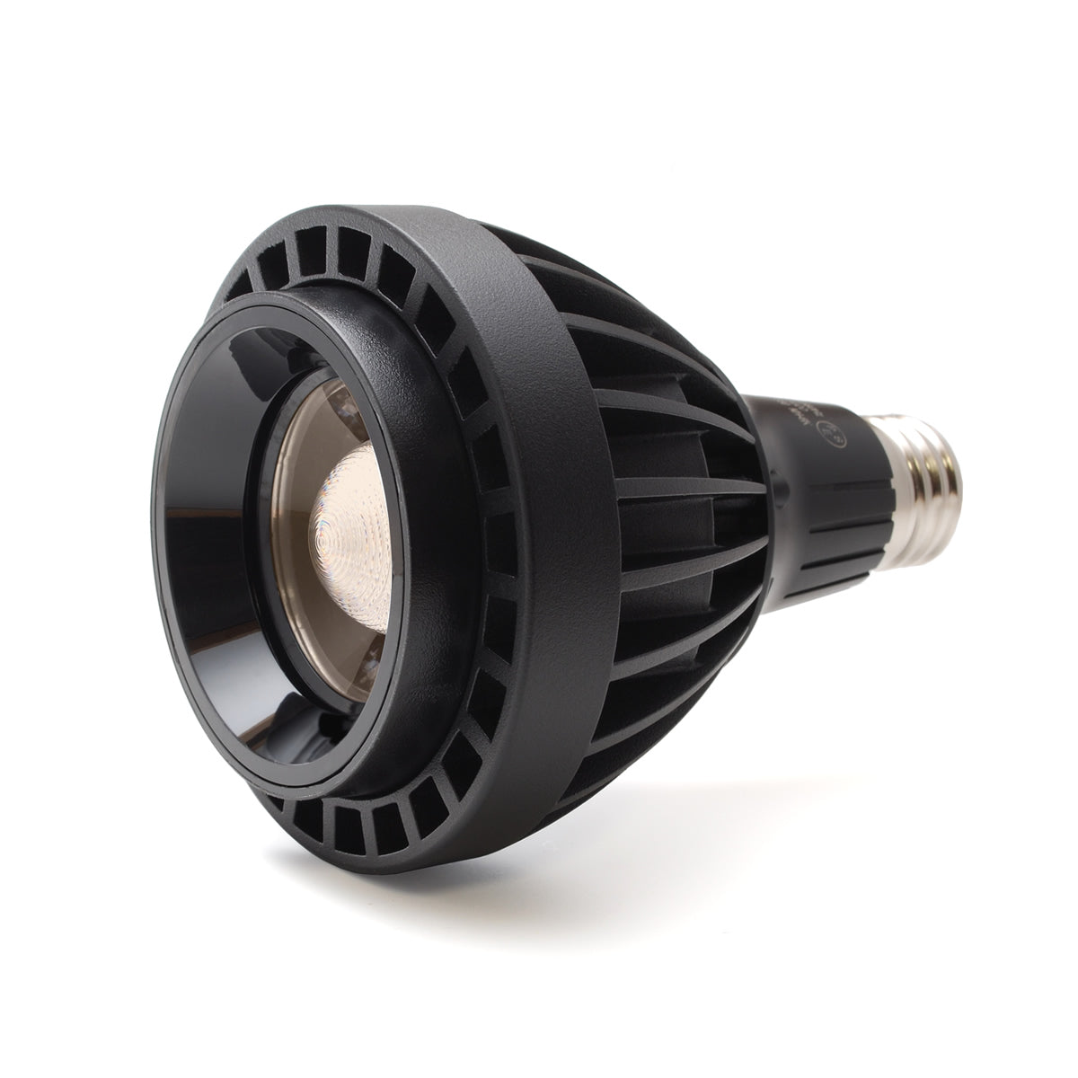 HARUさん ダウンライト HARUさん ダウンライト 楽天市場】【アート