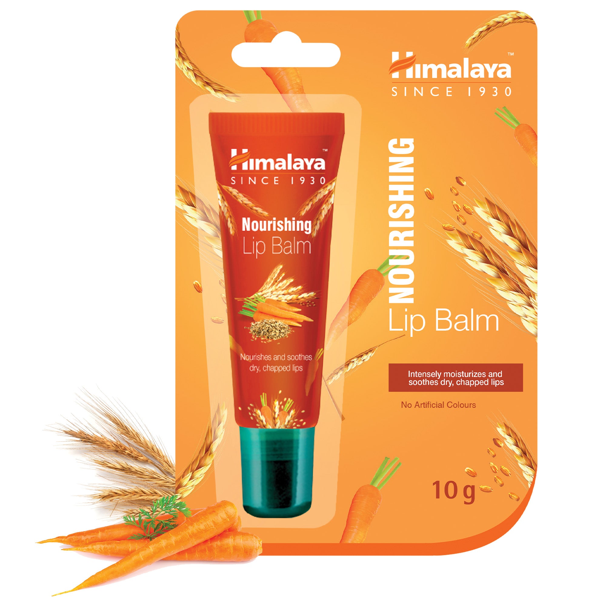 Himalaya Nourishing Lip Balm - 10g – Himalaya Wellness (Europe)