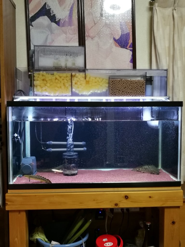 アクリル水槽 1200-600-450 ぷぅ工房製 上部フィルター付き アクリル