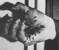 アンダルシアの犬（UN CHIEN ANDALOU）】 1928年 毒のイメージで秩序を